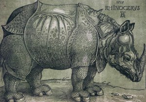 Nosorožec, 1515 od Albrecht Dürer