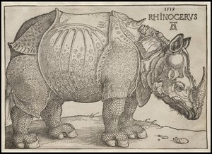 Nosorožec, 1515 od Albrecht Dürer