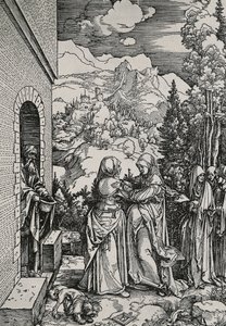 Návštěva od Albrecht Dürer