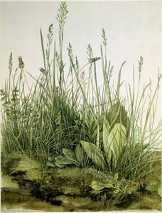 Závěsný od Albrecht Dürer