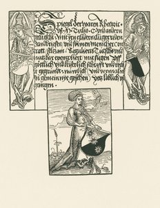 Mladá žena držící erb od Albrecht Dürer or Duerer