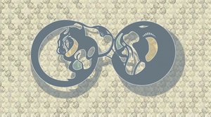 Abstrakt: Kočičí nekonečno od Alejandra Winkhaus