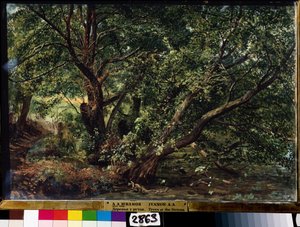 "Stromy řeky"" Obraz Alexandra Ivanova (1806-1858) 1837 Státní ruské muzeum, Petrohrad od Aleksandr Andreevich Ivanov