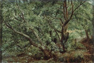 Stromy u potoka od Aleksandr Andreevich Ivanov
