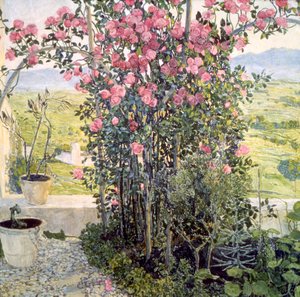 Údolí v Umbrii, 1910. od Aleksandr Jakovlevic Golovin