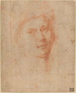 Vedoucí mládeže od Alessandro Allori