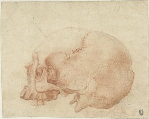 Studie lebky od Alessandro Allori