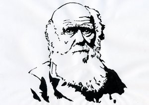 Portrét Charlese Darwina - Portrét anglického přírodovědce Charlese Darwina (1809-1882) Ilustrace od Alessandro Lonati