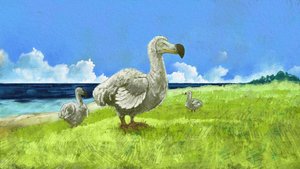 Znázornění vyhynulého ptáka dodo (ilustrace) od Alessandro Lonati