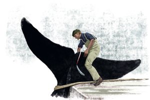 Velrybí loď řezání ocasu velryby od Alessandro Lonati