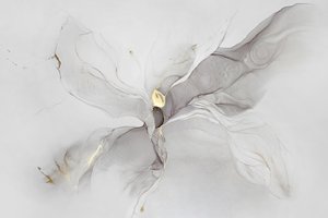 Abstrakt k filmu Fluid Gold od Alevtina Shelest