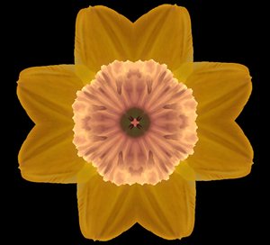 Symmetry, 2019, (fotografie) od Alex Caminker