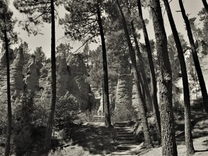 uvnitř vesmíru, 2019, (fotografie) od Alex Caminker