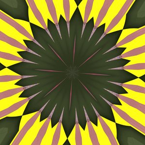 slunečnice, 2019, (digitální) od Alex Caminker