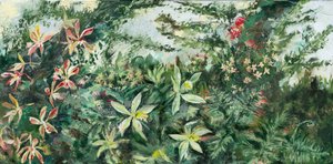 Bujné tropické květy od Alex Cornell