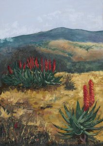 Red Aloes Desert Hills od Alex Cornell