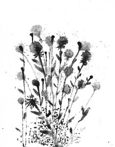 Abstraktní inkoustové rozkvěty