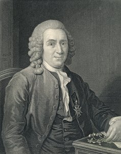 Portrét Carolus Linnaeus od Alexander (after) Roslin