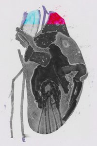 Průměr od Alexander Adiels