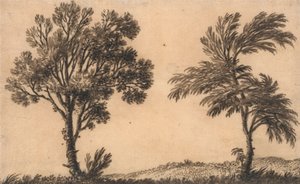 Studie o dvou vrbách od Alexander Cozens