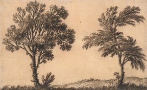 Studie dvou vrb od Alexander Cozens