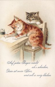 Humoristická pohlednice s kočkou (barevná litografie) od Alexander Francis (after) Lydon