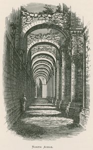 Fountains Abbey, North Aisle od Alexander Francis Lydon