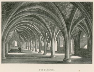 Fountains Abbey, The Cloisters od Alexander Francis Lydon