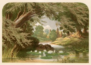 Ilustrace k filmu paní Hemansové K leknínu od Alexander Francis Lydon
