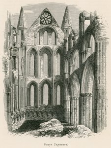 Whitby Abbey, Severní transept od Alexander Francis Lydon