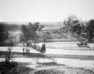 Krytý vůz překračující Tecolate Creek, Nové Mexiko od Alexander Gardner
