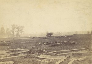 Pohled na bitevní pole Antietam, září 1862, 1862. od Alexander Gardner