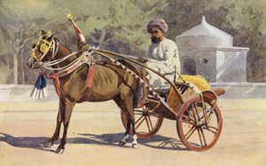 A Benares Ekka od Alexander Henry Hallam Murray