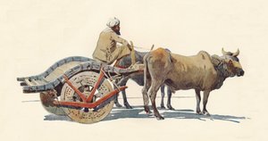 Bullock Cart, Jodhpur, c1880 1905. od Alexander Henry Hallam Murray