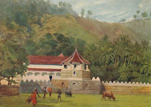 The Temple of the Tooth, Kandy – Exteriér, c1880 1905. od Alexander Henry Hallam Murray