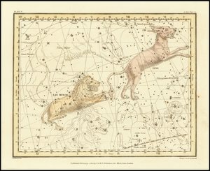 1822 - Alexander Jamieson - Lynx  Leo Minor od Alexander Jamieson