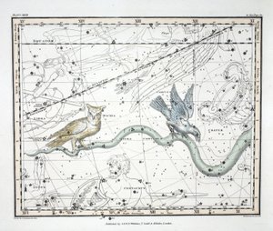 Souhvězdí (Plate XXVII) Hydra Continua, Kráter, Covus, Centaurus a Lupus, z 