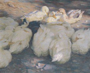 Ve večerním slunci od Alexander Koester
