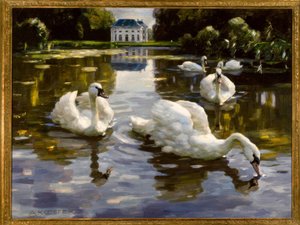 A. Koester, labutě v Nymphenburgu