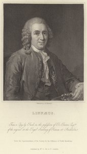 Linnaeus od Alexander Roslin