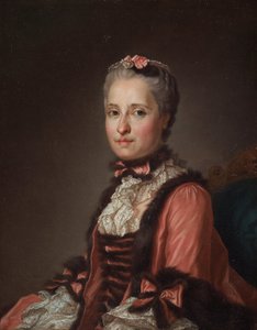 Portrét princezny Marie Josefy Saské 1731-1767, 1776. od Alexander Roslin