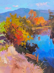 Vloupání od Alexander Shandor