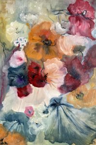 Kvetou barevné máky od Alexandra Higgins