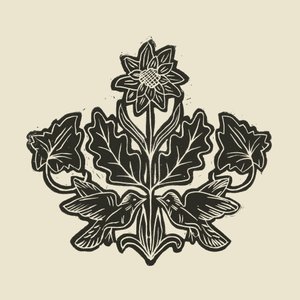 Elegantní květinové ptáky od Alexandra Weise