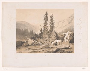 Horská krajina se smrky a horskými kozami Sapins (název na objektu) od Alexandre Calame