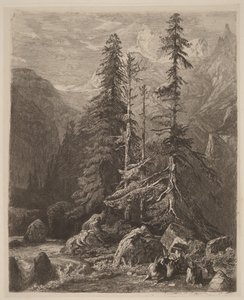 Zkušební leptané kresby od Alexandre Calame, I, tab. 21 od Alexandre Calame
