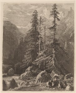 Zkoušky leptu Alexandre Calame, I, pl. 21 od Alexandre Calame