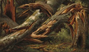 Padlý strom, 18391845.