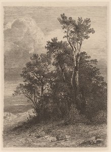 Háj stromů od Alexandre Calame