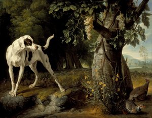 Krajina se psem a koroptvemi, 1719